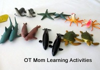 Tactile Perception Sea Creature Toys