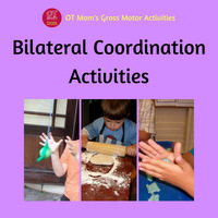 Bilateral Coordination Activities