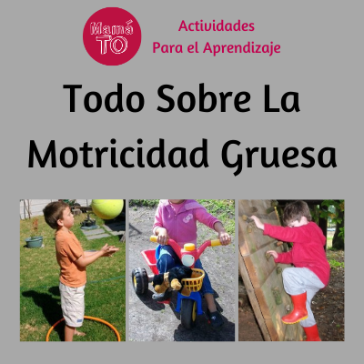 Todo Sobre La Motricidad Gruesa