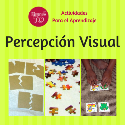 ¿Qué es la Percepción Visual?