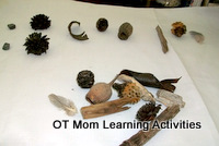 sorting activity for preschool - sort nature objects to develop visual discrimination skills