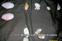 matching shells activity