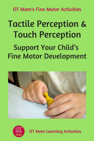 tactile perception and touch perception - why they are important for fine motor skills
