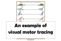 visual motor tracing worksheets