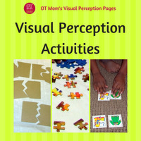 visual perception activities