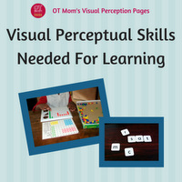 how visual perception skills affect learning