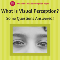 what is visual perception