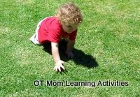 creeping/crawling is an example of reciprocal coordination