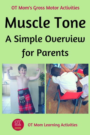 What is muscle tone?