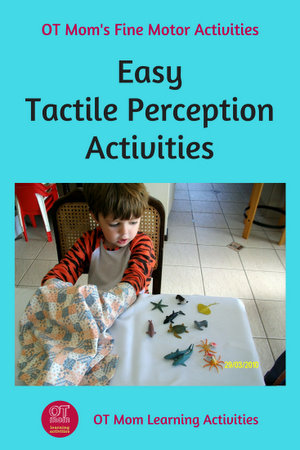 easy tactile haptic perception activities