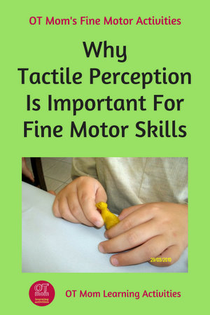 what is tactile perception?
