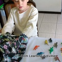 "Mystery bag" game for tactile perception