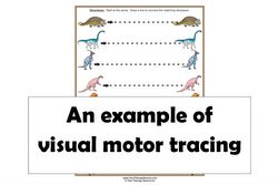 visual motor tracing worksheets