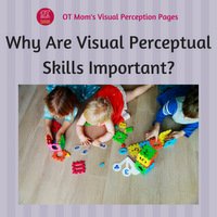 why are visual perceptual skills important